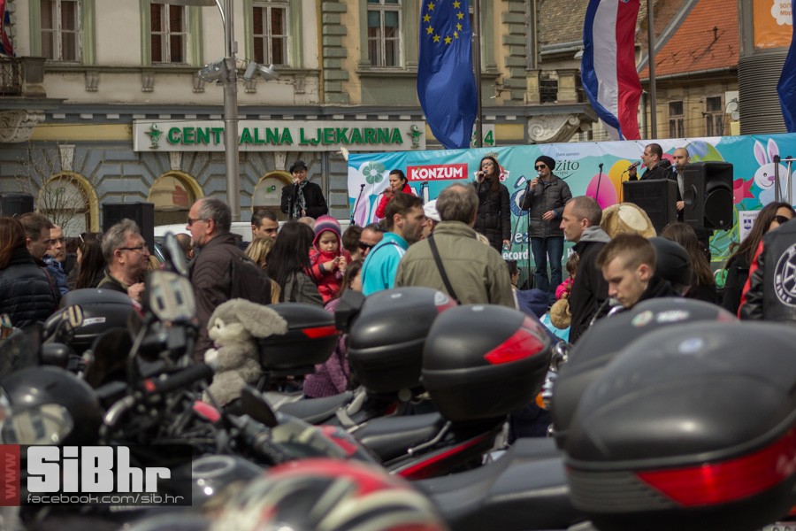 gnijezdo2015_43