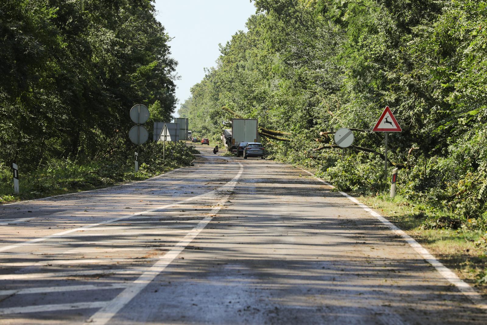 Zatvorena D55 između Vinkovaca i Gradišta Zatvorena D55 između Vinkovaca i Gradišta