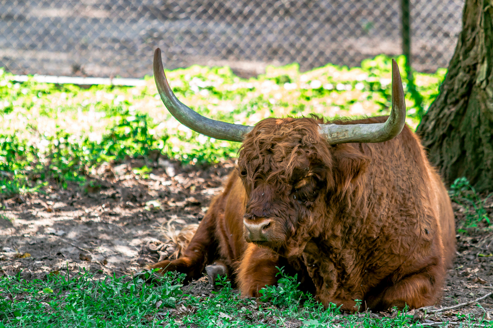 ZOO vrt  Osijek u proljeće
