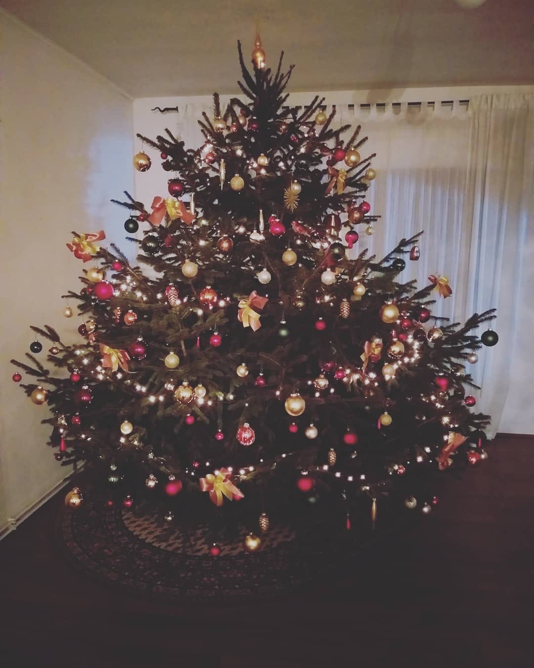Božićna drvca čitatelja SiB.hr