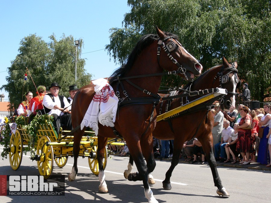 49djakovacki_vezovi_218