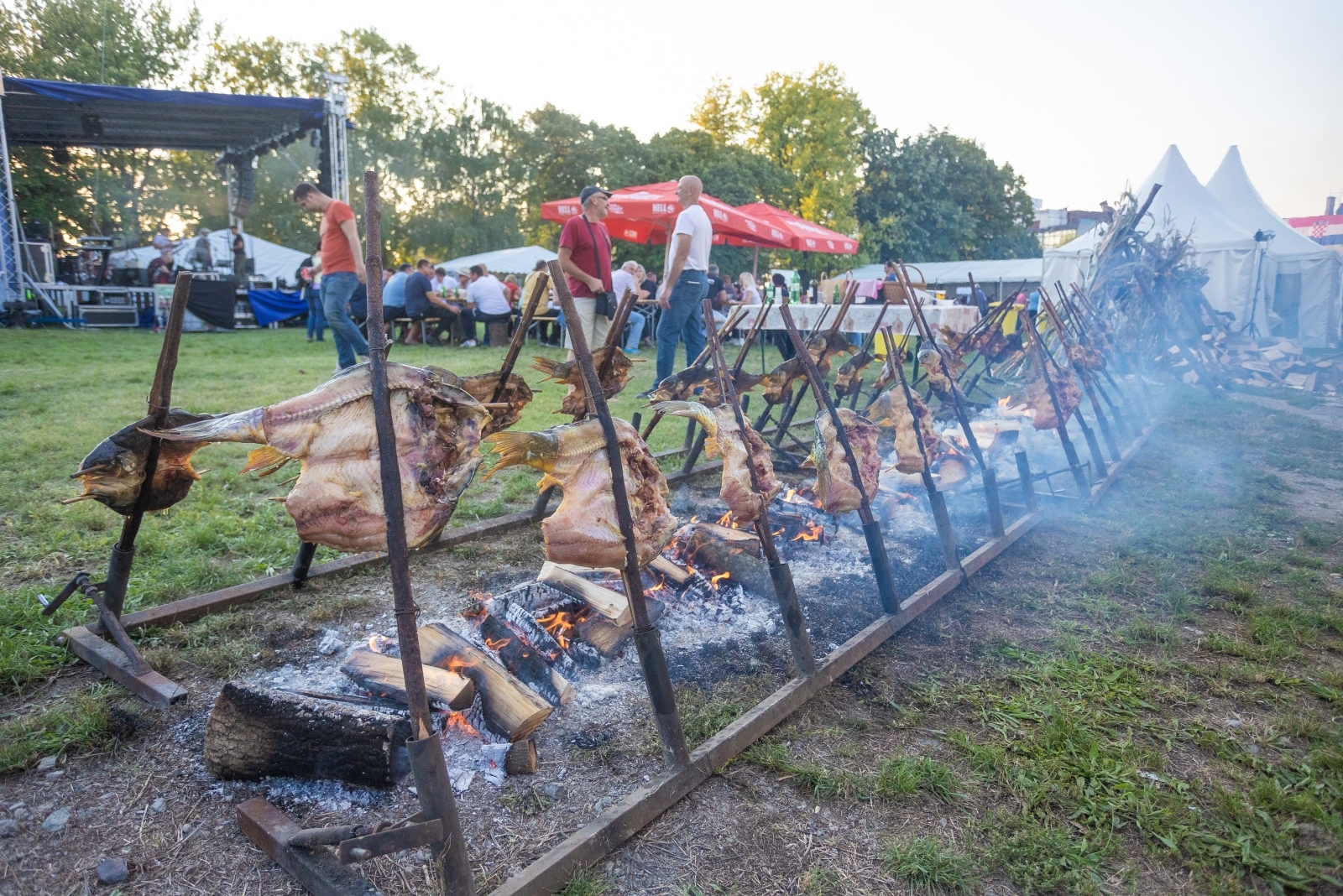Nejveća fišijada Beli Manastir 2021.