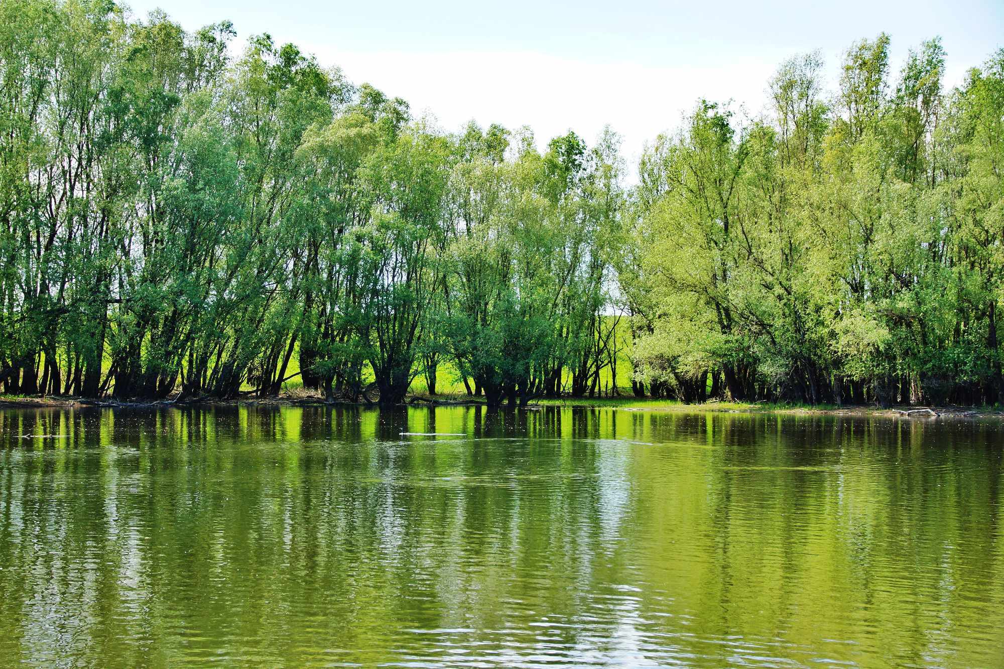 Grad na Dravi, Zoološki vrt i Kopački rit iz perspektive Tonija Šimunića
