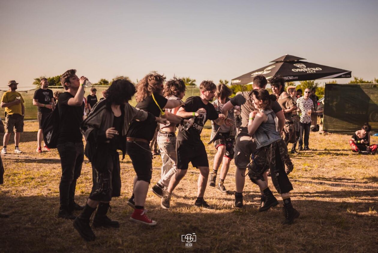 Mosquito FEst 2025. Mosquito FEst 2025.