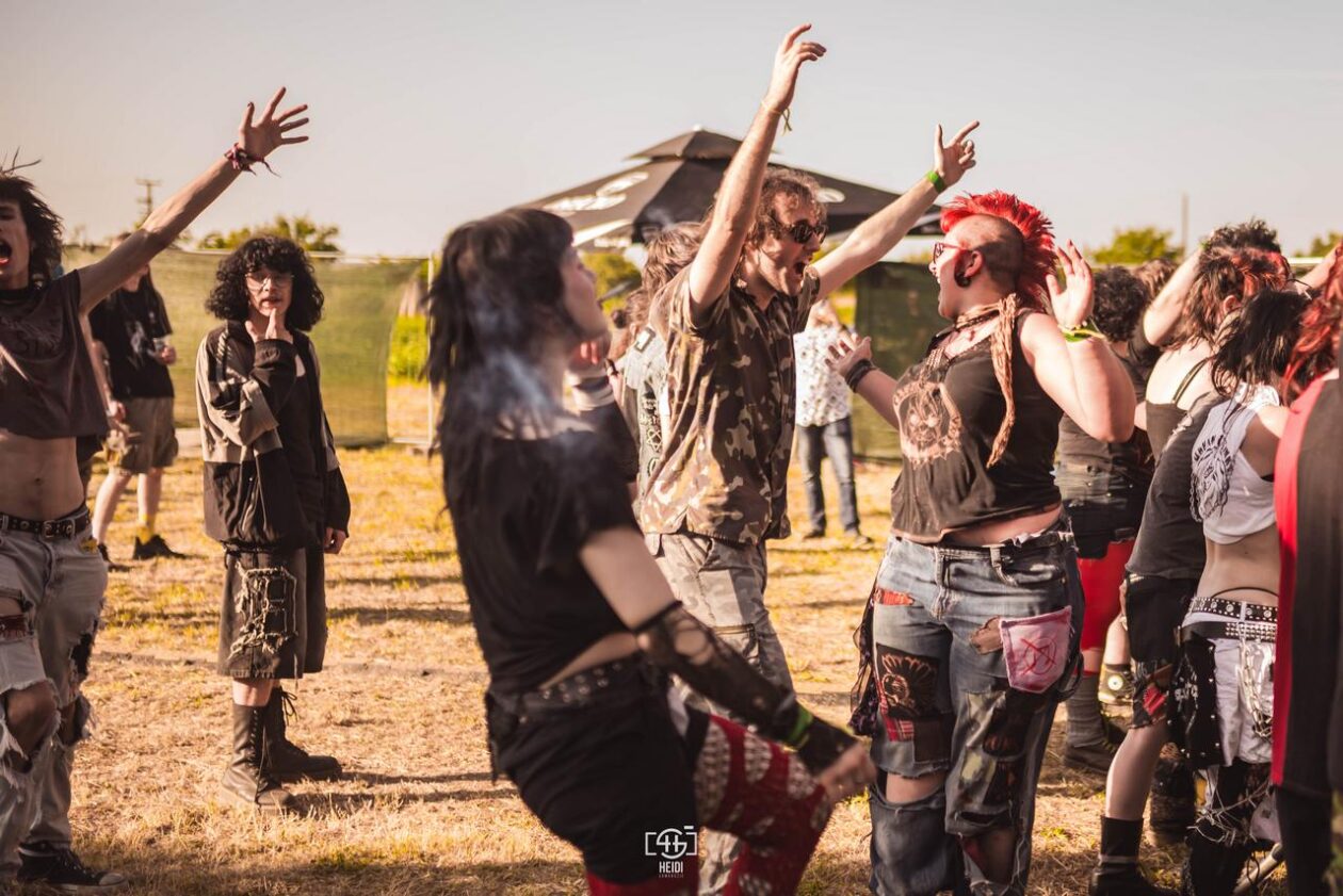 Mosquito FEst 2025. Mosquito FEst 2025.