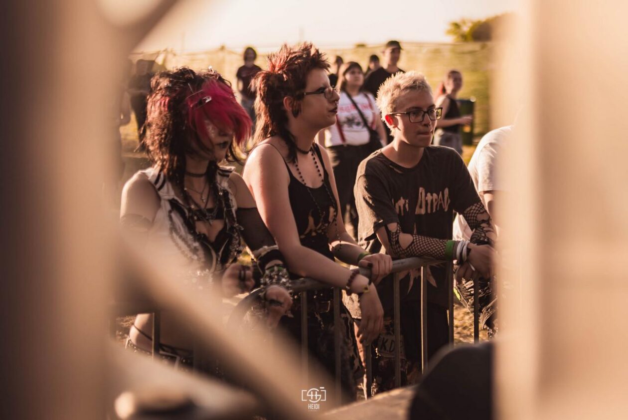 Mosquito FEst 2025. Mosquito FEst 2025.