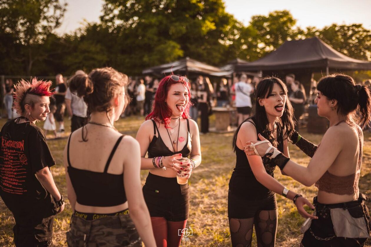 Mosquito FEst 2025. Mosquito FEst 2025.