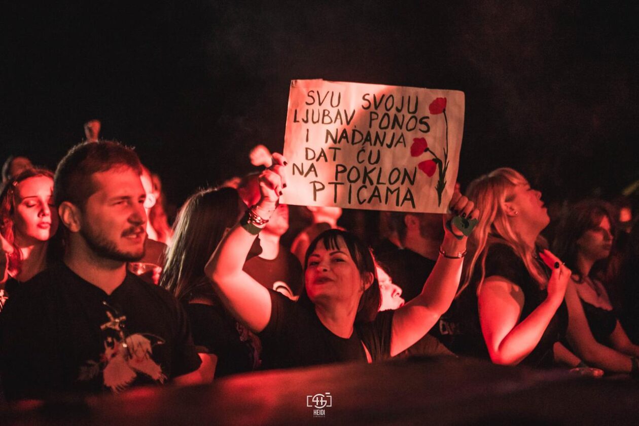 Mosquito FEst 2025. Mosquito FEst 2025.