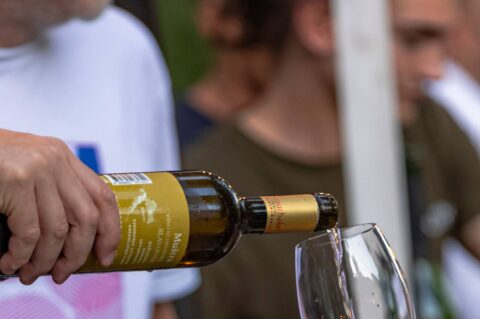 Večer vina i umjetnosti, srpanj 2024.