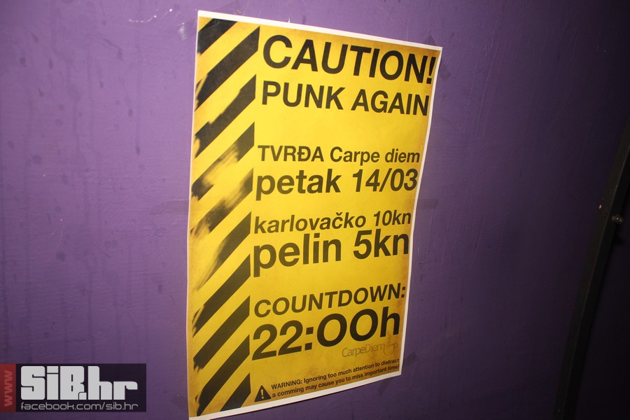 punk_party_sib