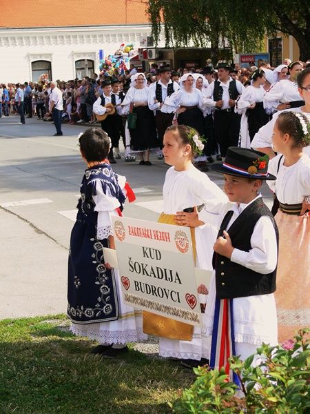 djakovacki_vezovi_2014_SiBhr_16