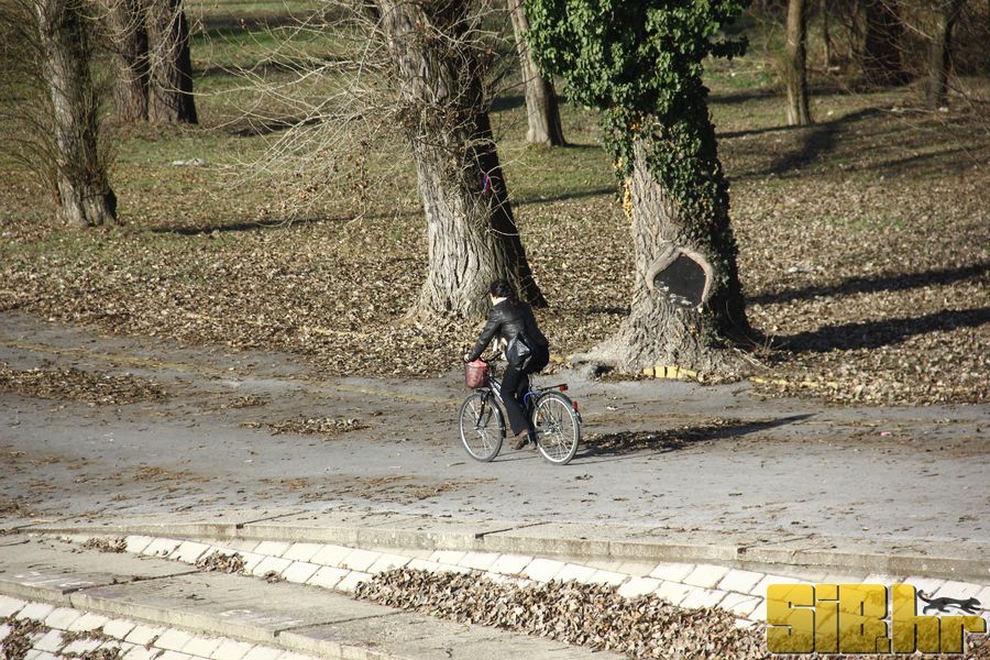setnja_gradom_7_1_2012_sibhr_33