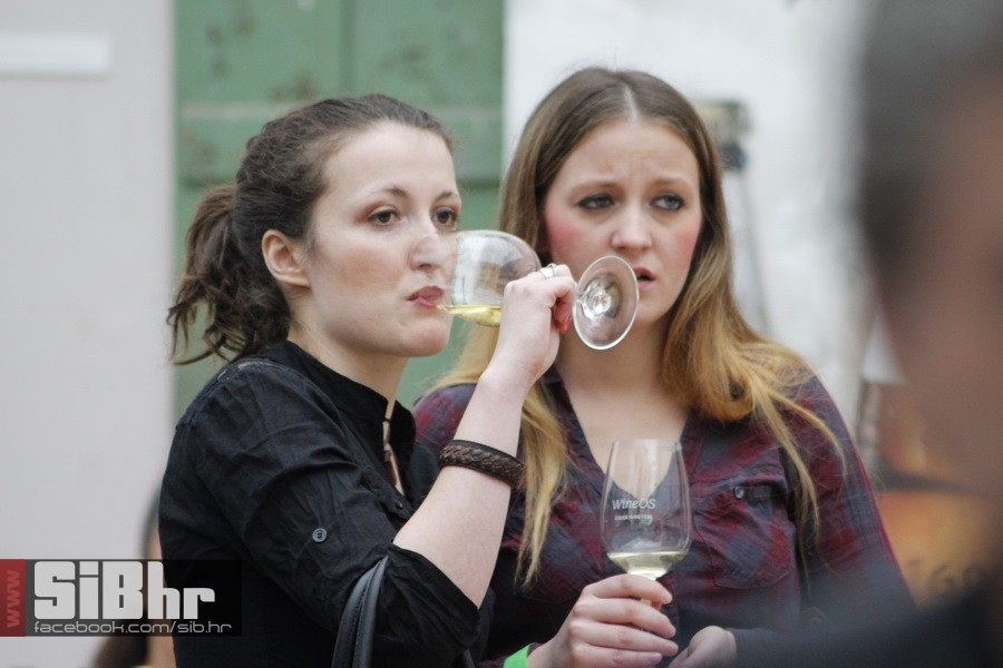 wine_fest_osijek_SiBhr_64