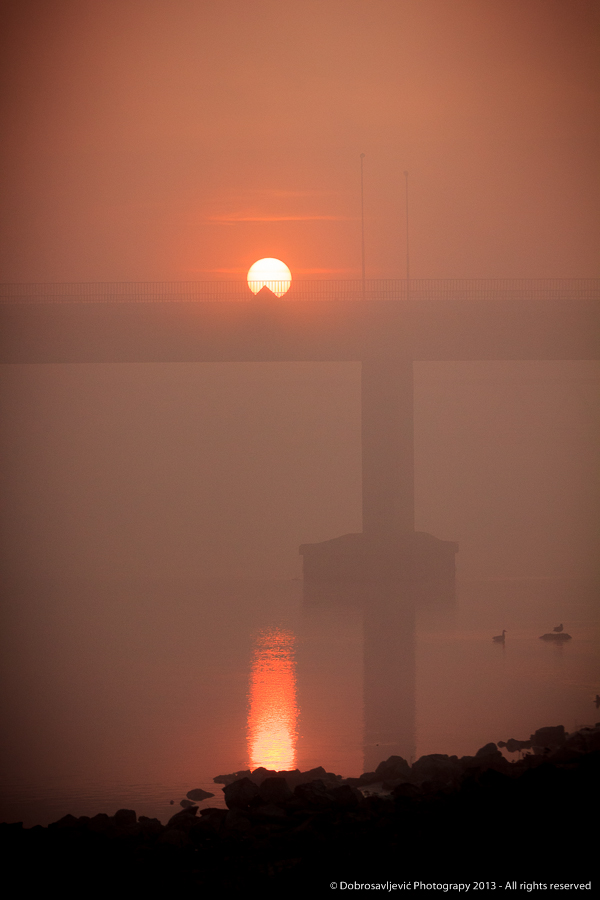 dobrosavljevic_osijek_SiBhr_15