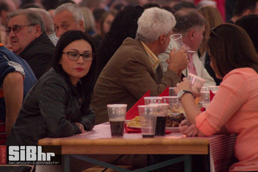dani_piva_dan1_2015_Sibhr_13