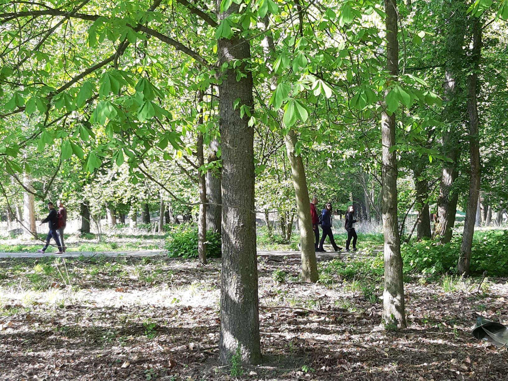 Osječani pohrlili u Baranju – šetnje od Kopačkog rita pa do Tikveša