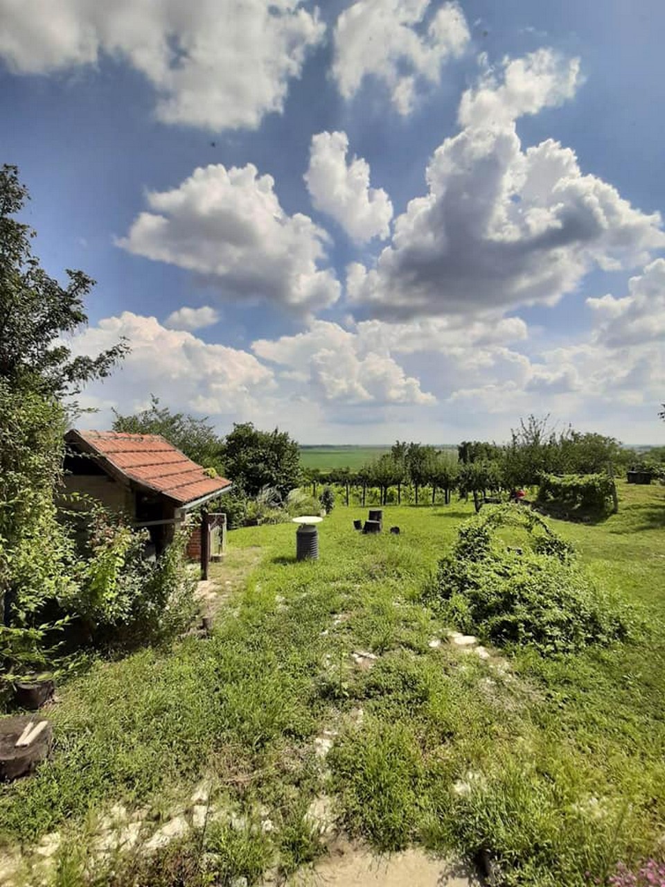 Kuća za odmor Mali Anđeo, Suza