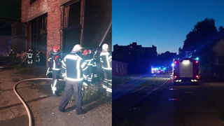 Image 6013839 (auto)