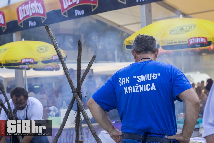 fisijada_opca_opasnost_2016_sib