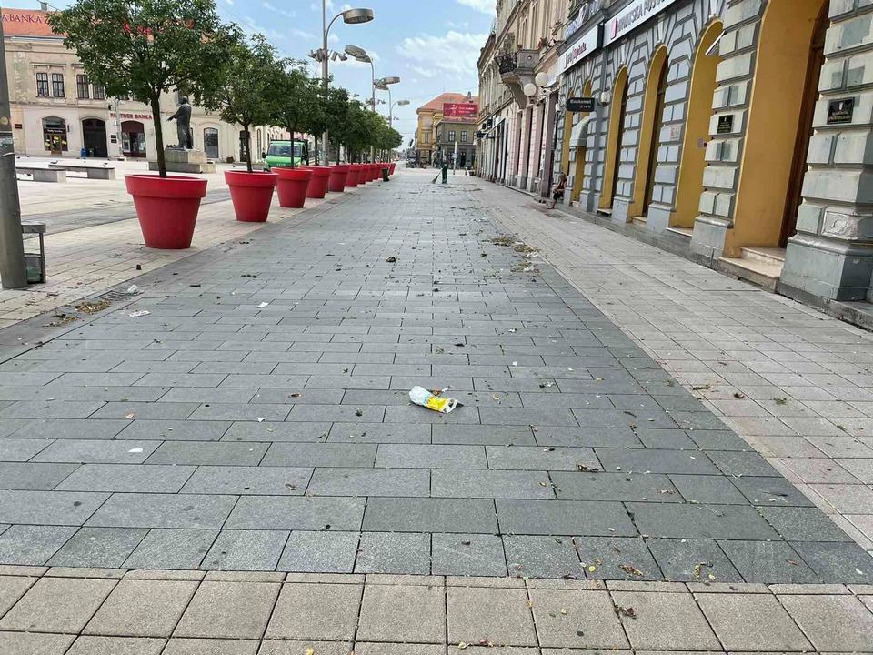 Olujni vjetar rušio drva u Osijeku