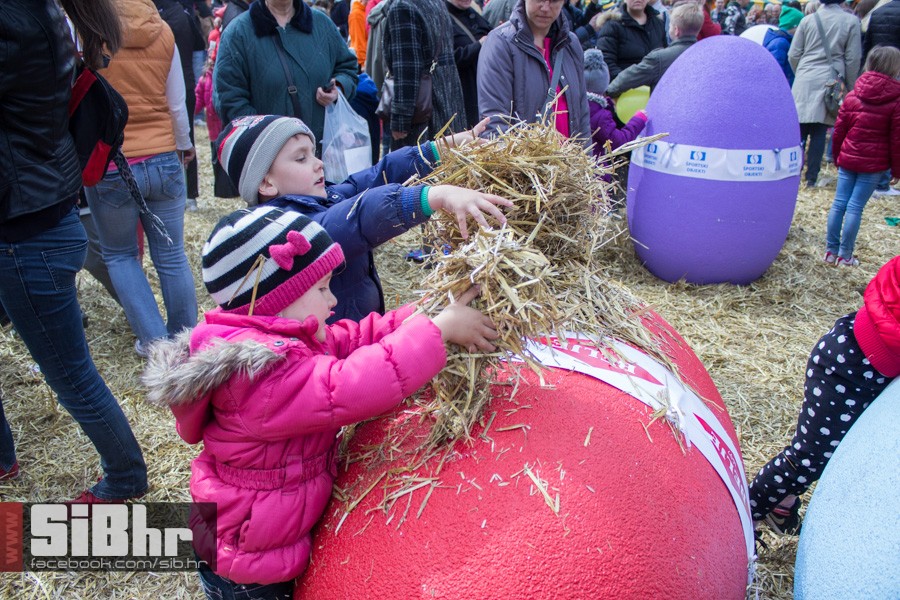 gnijezdo2015_23