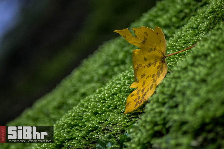 park_prirode_jankovac_58