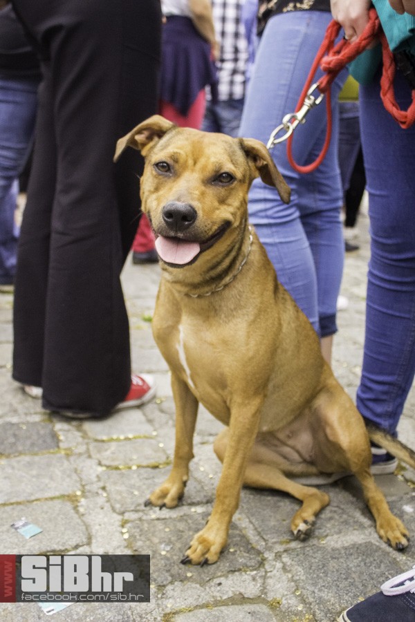 prosvjed_kurikularna_reforma_os prosvjed_kurikularna_reforma_os