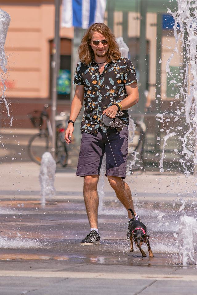 Lege dana [srpanj 2019.]