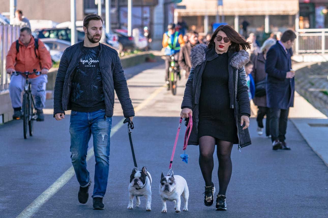 Uznemireni Osječani na gradskim ulicama nakon potresa Uznemireni Osječani na gradskim ulicama nakon potresa