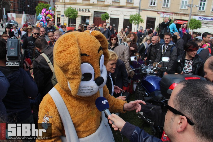 motozeke1804_zoran_osijek_2014_