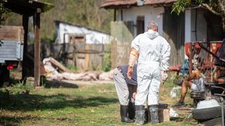 afrička svinjska kuga eutanazacija