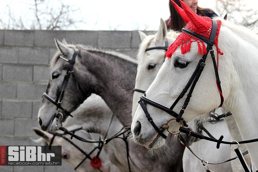 uskrsno_jahanje_koritna_13