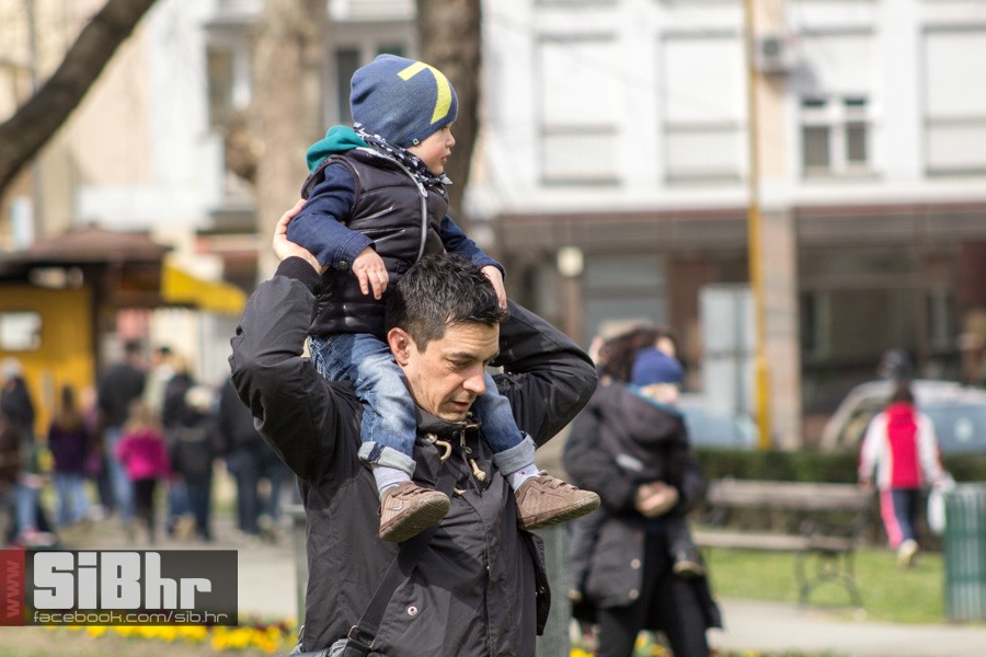 gnijezdo2015_46