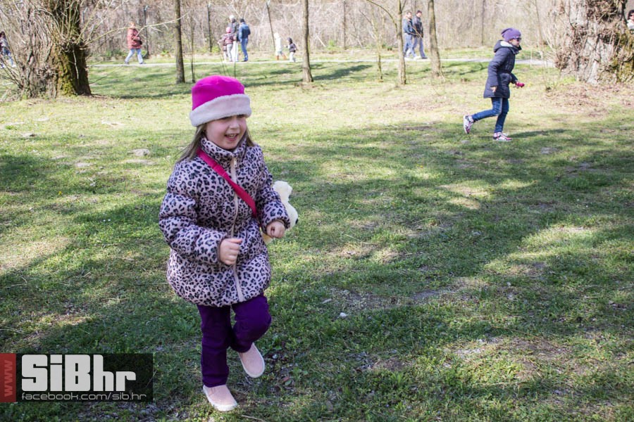 zoo_vrt_49