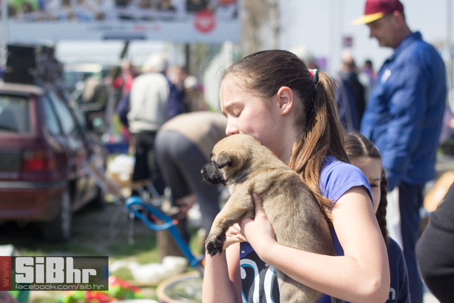 nedjelja_na_autopiji_osijek_35