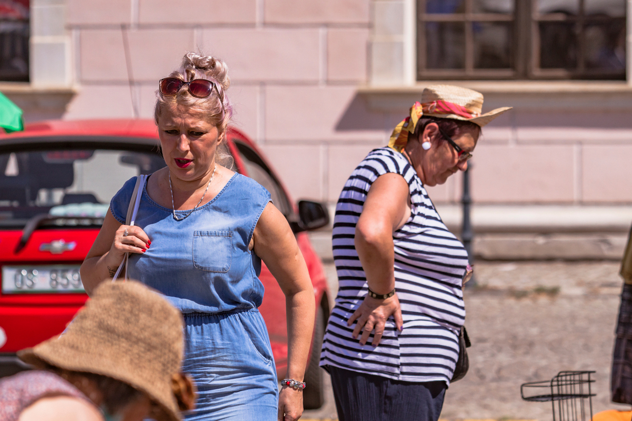 Sajam antikviteta kolovoz 2020.