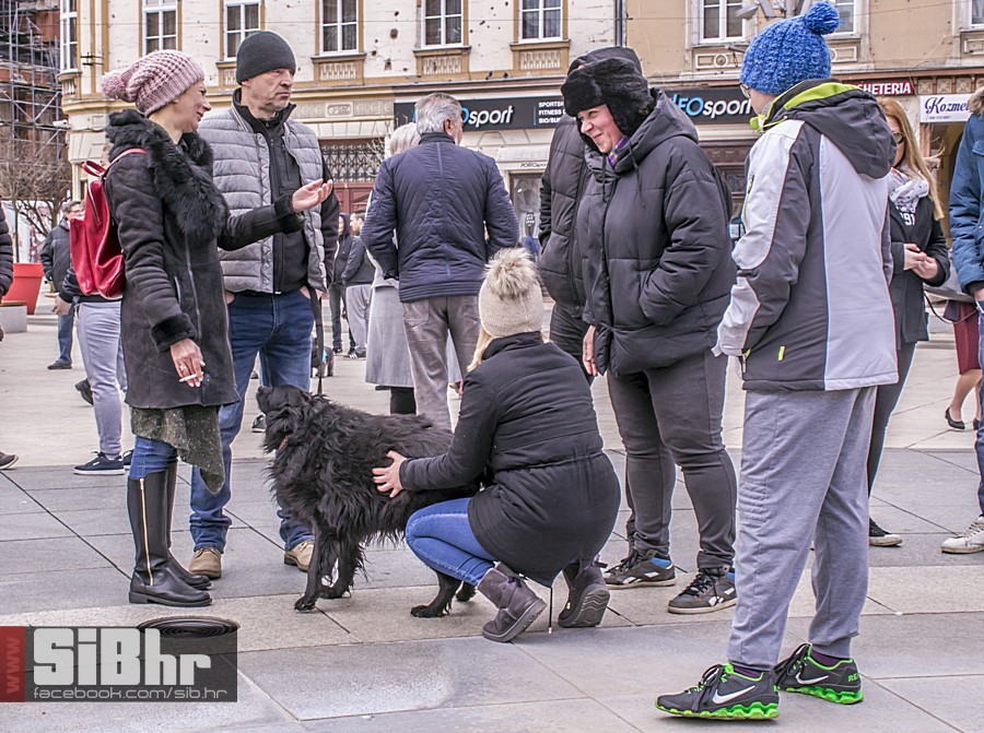 trovanje prosvjed_sibhr_52