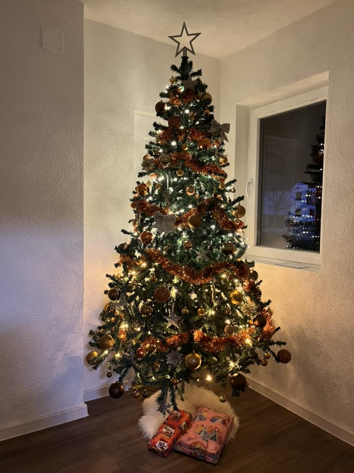 Najljepši borovi na Božić 2023. Najljepši borovi na Božić 2023.