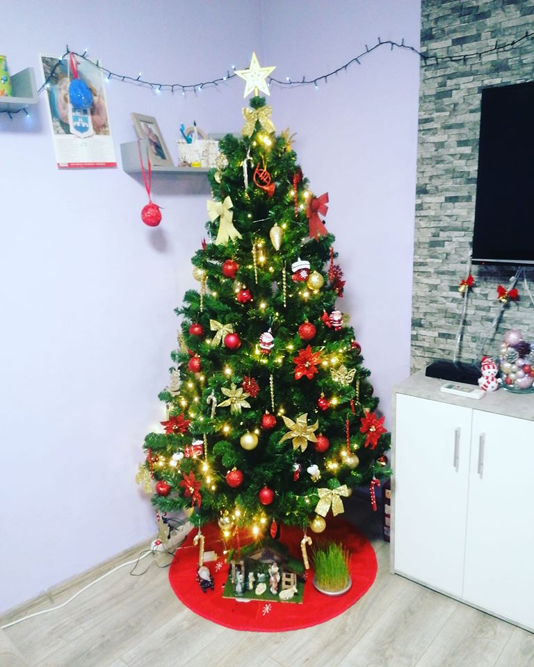 Borovi čitatelja portala SiB.hr