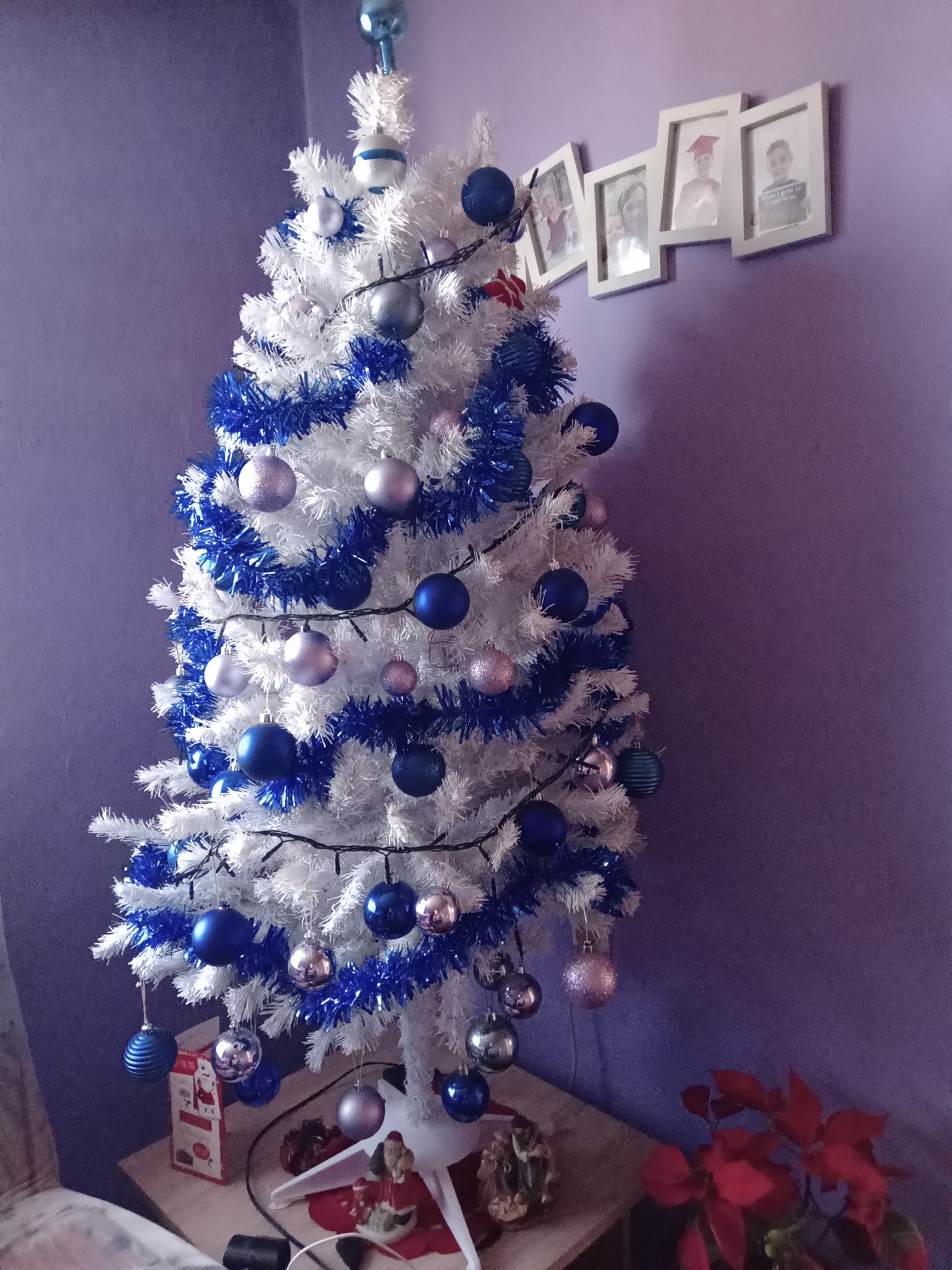 Najljepša božićna drvca naših čitatelja 2022.