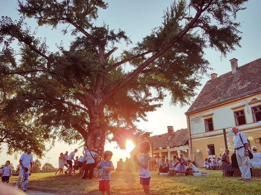 tarda_festival_4
