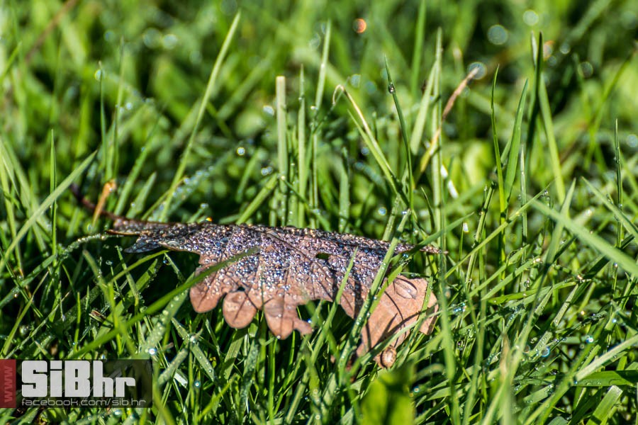 park_prirode_jankovac_48