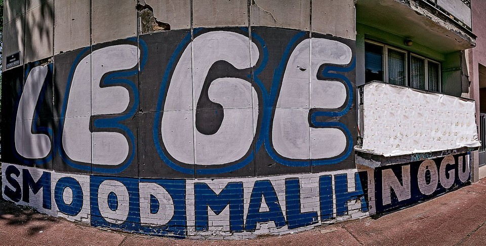 kohorta grafiti