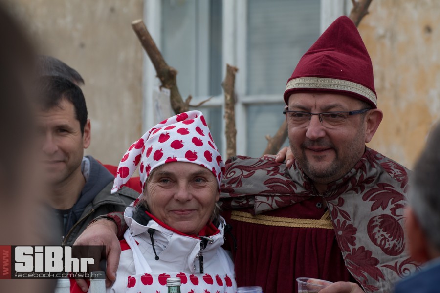 geza_2016_sibhr_22
