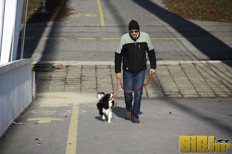setnja_gradom_7_1_2012_sibhr_34