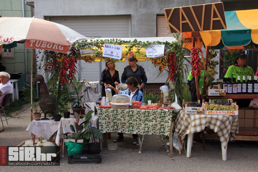 kopacevo_ribarski_dani_2012_sib