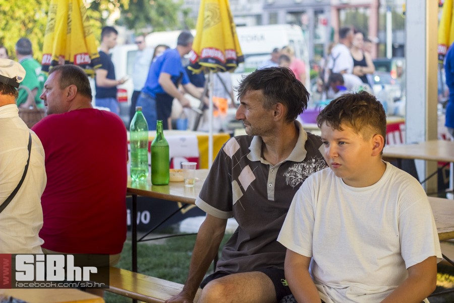 fisijada_opca_opasnost_2016_sib