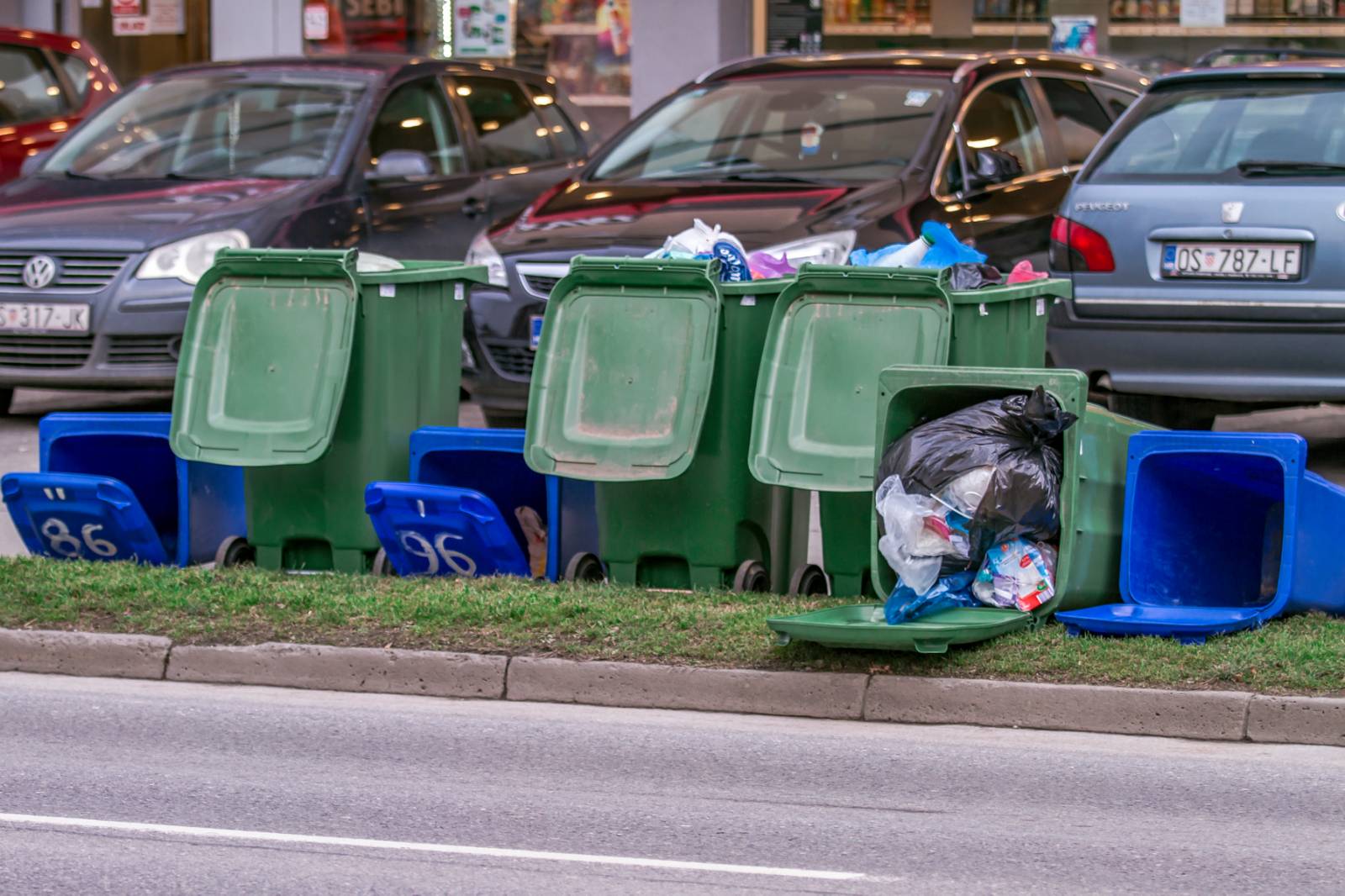 Vjetar pravi probleme po osječkim ulicama