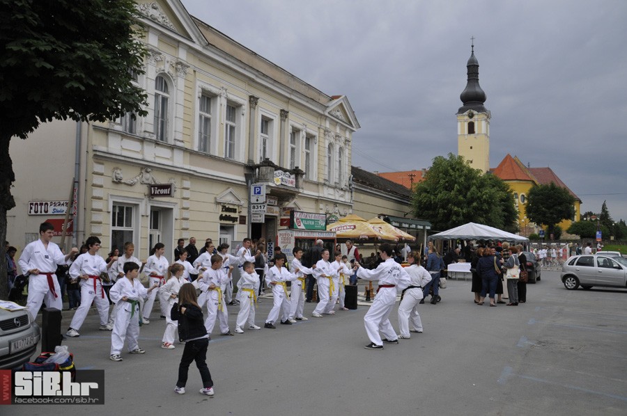 nasicedanhobija1
