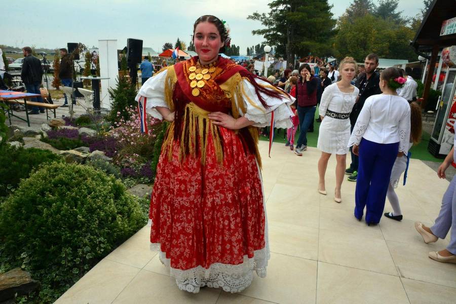 pozega_etno_susreti_cvarakfest_